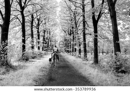 [Image: stock-photo-one-man-with-his-horse-and-d...789936.jpg]