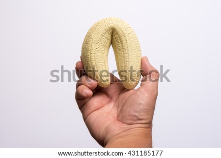 in Holding hand penis in Holding hand penis