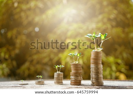 Money growing plant step with deposit coin. Bank and investment business concept.