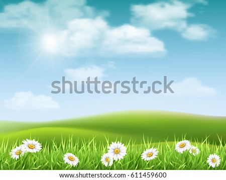 Rural hilly landscape with daisies in the foreground. Vector nature background.