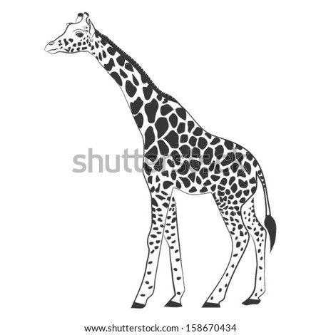 Giraffe Outline Stock Images, Royalty-Free Images & Vectors | Shutterstock