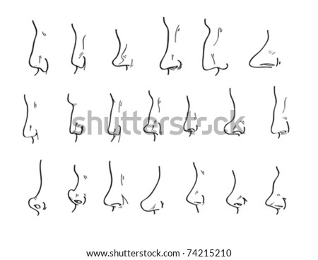 Variety Different Noses All Shapes Sizes Stock Vector 74215210 ...