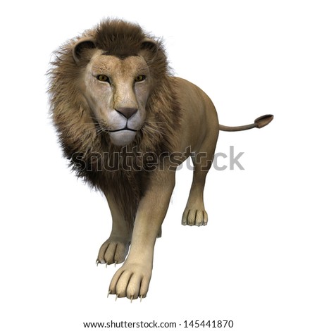 Lion Running Stock Images, Royalty-Free Images & Vectors | Shutterstock