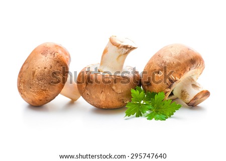 mushrooms champignon