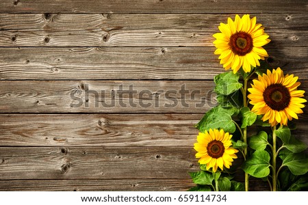 Wooden sunflower
