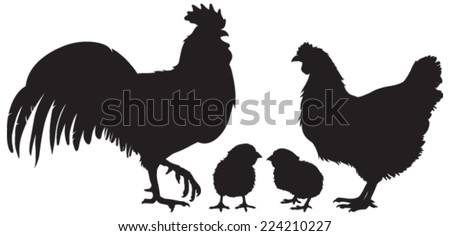 Baby Chick Stock Images RoyaltyFree Images Vectors