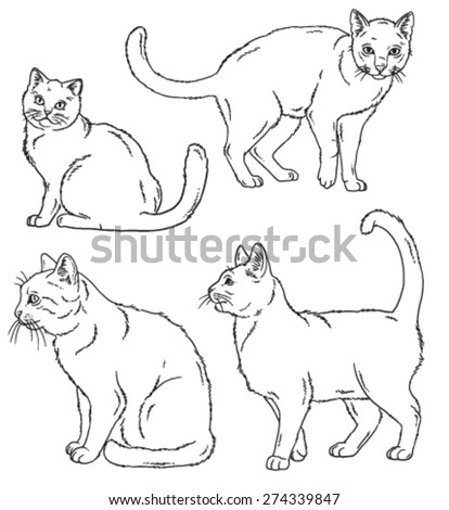 Cat Outlines Stock Images, Royalty-Free Images & Vectors | Shutterstock