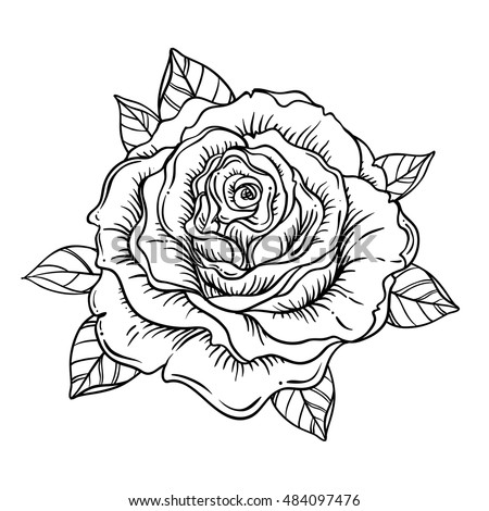 Blackwork Tattoo Flash Rose Flower Highly Stock Vector 484097476 ...