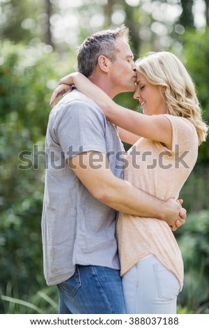 https://thumb1.shutterstock.com/display_pic_with_logo/76219/388037188/stock-photo-husband-kissing-wife-on-the-forehead-outside-388037188.jpg