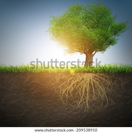 Roots Stock Images, Royalty-Free Images & Vectors | Shutterstock