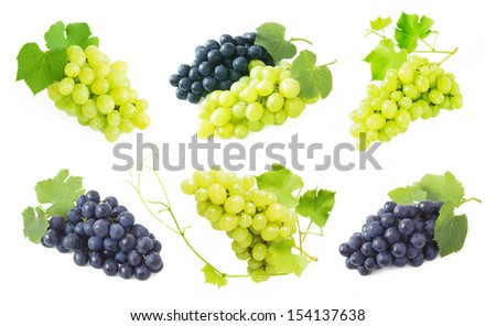 Three Branches Grapes Red Black Green Stock Illustration 360252452 ...