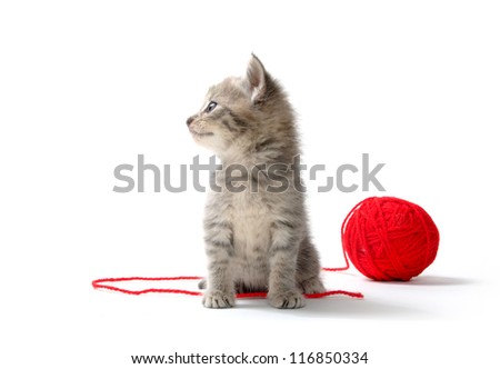 Cat Ball Of Yarn Stock Photos, Images, & Pictures | Shutterstock