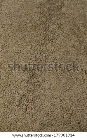 skin closeup stock images royalty free images vectors rhino skin texture stock images royalty free images vectors skin closeup stock images royalty free images vectors rhino skin texture stock images royalty free images vectors
