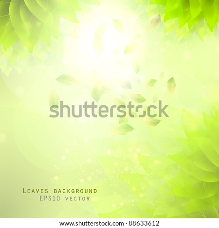 green leaves, eco background eps10