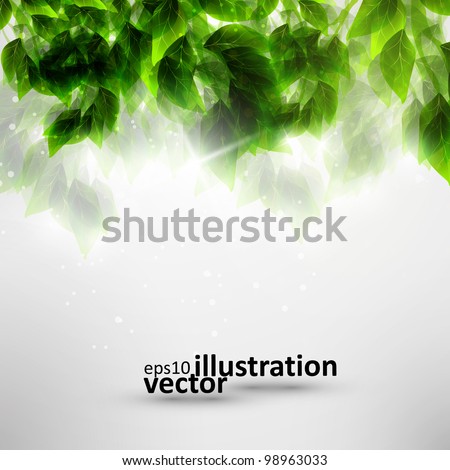 Beautiful green leaves, eco vector background eps10