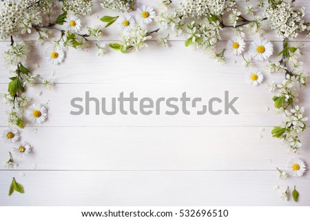 Background with flowering branches of plums, cherries and daisies