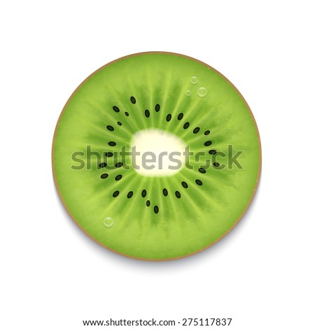 Kiwi slice isolated on white. EPS10 vector