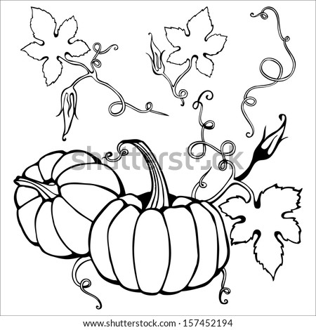 Pumpkin Harvest Drawing Retro Style Thanksgiving Stock Vector 109988057 ...