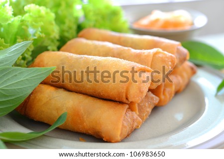 crispy spring rolls on dish with vegetable