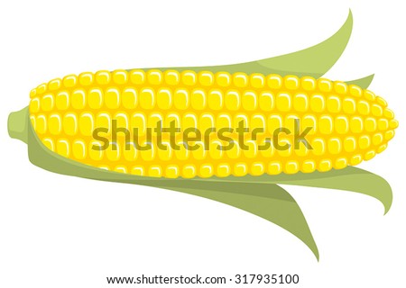 Corn on the Cob / Sweetcorn with leaves, on transparent background, flat graphic vector illustration. Fully adjustable & scalable.