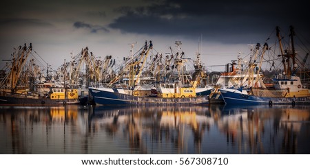 Fishing ships in Lauwersoog. Which harbours one of the biggest fishing fleets of the Netherlands. The fishery concentrates mainly on the catch of mussels, oysters, shrimp and flatfish in the Waddensea