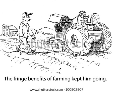Fringe benefits stock options
