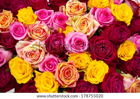 Bouquet Pink Orange Yellow Roses Purple Stock Photo 32934799 - Shutterstock