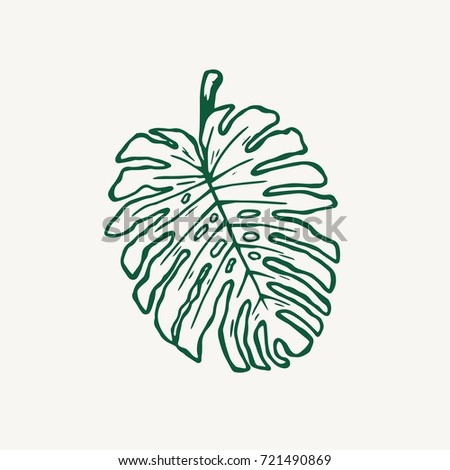Monstera Tropical Leaf Outline Vector Illustration Stock Vector