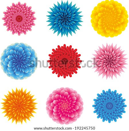 Aster Flower Stock Photos, Images, & Pictures | Shutterstock