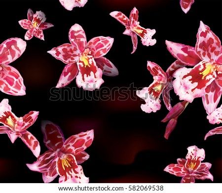 Black background of blooming Beallara orchids flowers. Vector illustration