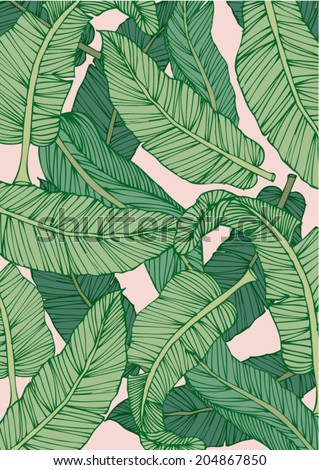 banana leaf vector/illustration