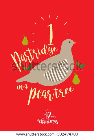 partridge in a pear tree stock images royalty free images twelve days of christmas funny version