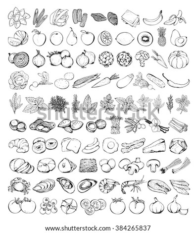 Food set vector isolated on white background, hand drawn vegetables, fruits, pasta, herbs and spiced, seafood, bakery, eggs, cheese, nuts, mushrooms, fish