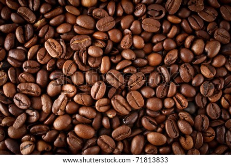 Coffee Beans Images Coffee Beans Images
