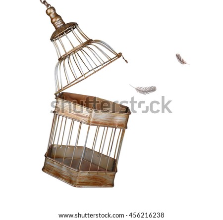 Birdcage Stock Images, Royalty-Free Images & Vectors | Shutterstock