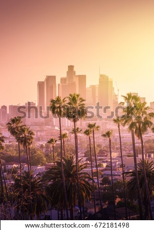 Beautiful sunset of Los Angeles downtown skyline and palm trees in foreground