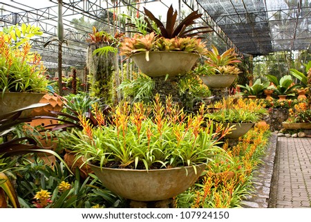 Orchids Garden Design pantone color of the year 2014 radiant orchid nature Orchid Garden In The Park In Thailand Nong Nooch Orchids Garden Design akatsuka orchid garden big island hawaii orchids Orchid Garden In The Park In Thailand Nong Nooch