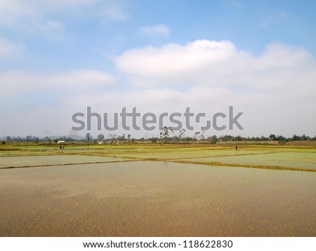 Rice paddy field at Citadel of the Ho Dynasty in Thanh Hoa, Vietnam - a UNESCO World Heritage Site