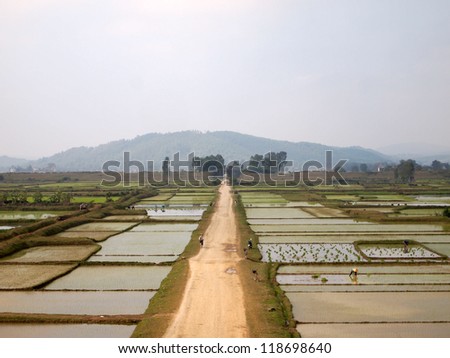 Road in rice paddy field, Citadel of the Ho Dynasty in Thanh Hoa, Vietnam - a UNESCO World Heritage Site