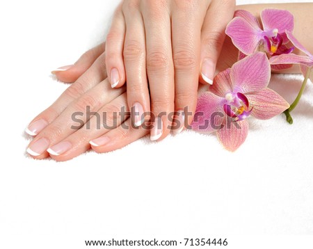 Beautiful hand with perfect nail french manicure and purple orchid flowers. isolated on white background