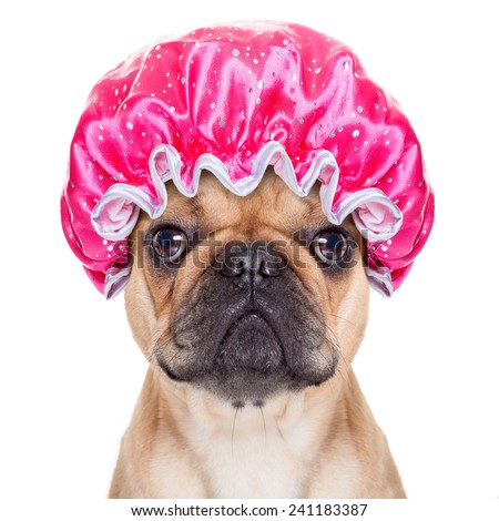 Shower Cap Dog Shower Cap Dog