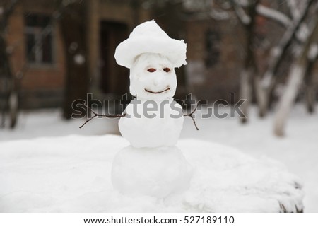 Real Snowman Real Snowman