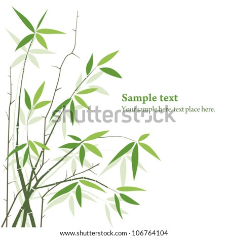 vector Bamboo