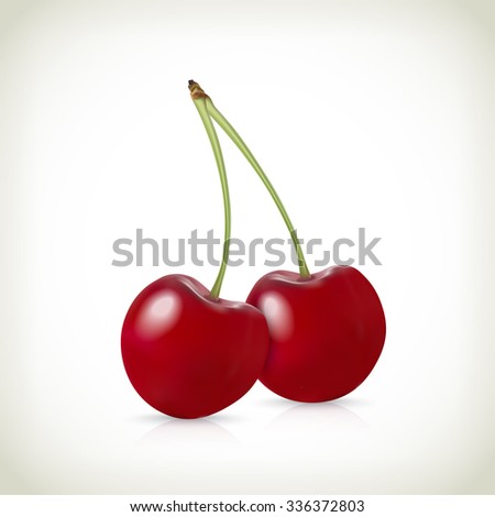Realistic vector of two cherries.