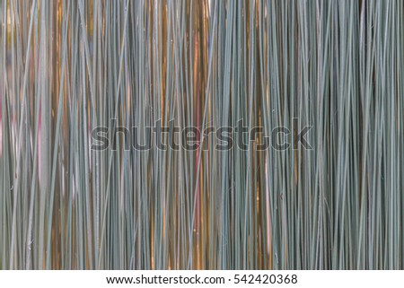 imperata cylindrica as papers essay Read this essay on cogon grass as heat insulator come browse our large digital warehouse of free sample essays get the knowledge you need in order to pass your classes and more. imperata cylindrica as papers essay Read this essay on cogon grass as heat insulator come browse our large digital warehouse of free sample essays get the knowledge you need in order to pass your classes and more.