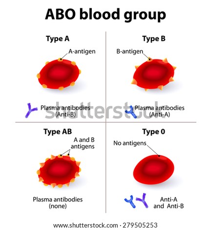 A1 Positive Blood Group Diet Chart