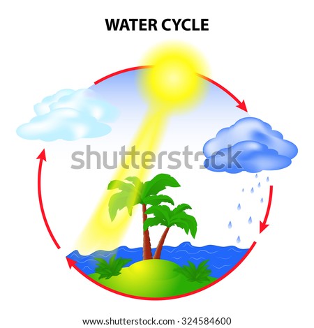 Water Cycle Diagram Stock Images, Royalty-Free Images ...