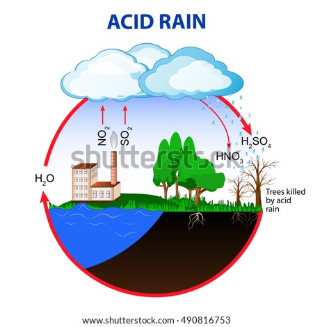 Acid Rain Stock Images, Royalty-Free Images & Vectors | Shutterstock