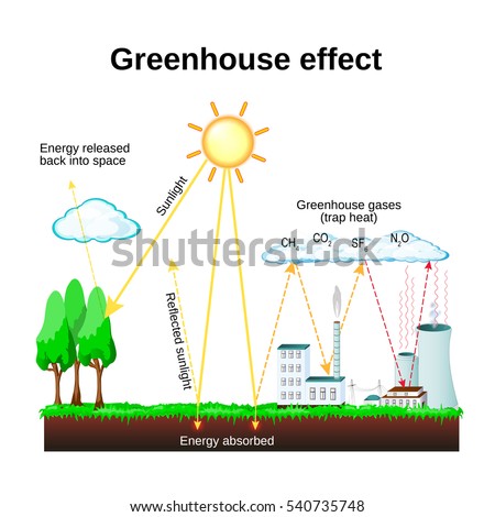 Essay on greenhouse effect