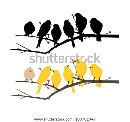 Birds wall decal